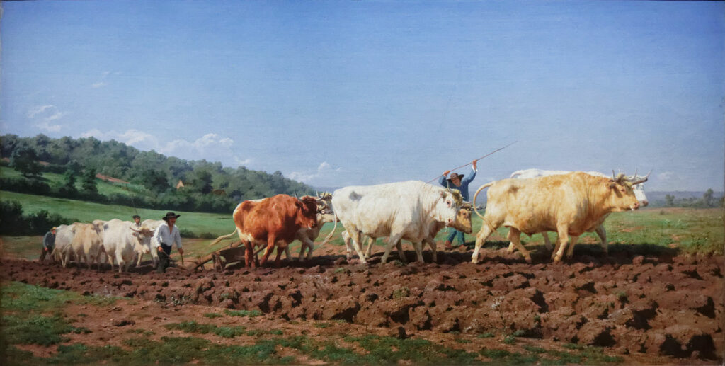 Rosa Bonheur, Labourage nivernais : le sombrage, 1849, huile sur toile.